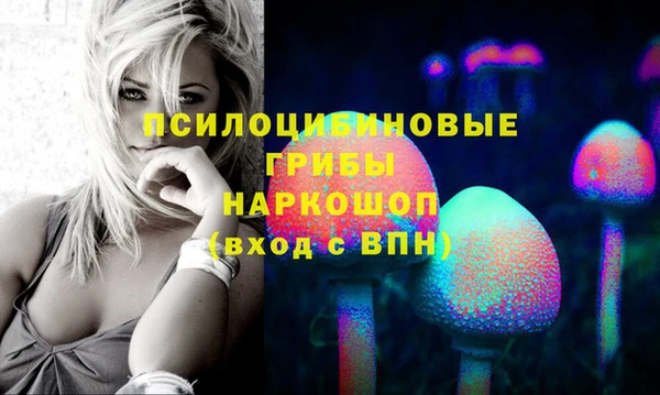метадон Новозыбков