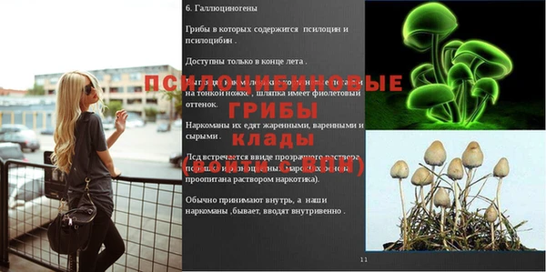 метадон Новозыбков